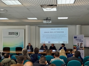 NUOVE OPPORTUNITÀ DAL BANDO REGIONALE “INFRASTRUTTURE TERRITORIALI PER LO SVILUPPO IMPRENDITORIALE”, 15 progetti finanziati