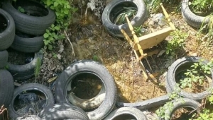 Ascoli Piceno - Discarica a cielo aperto in via Loreto, è polemica
