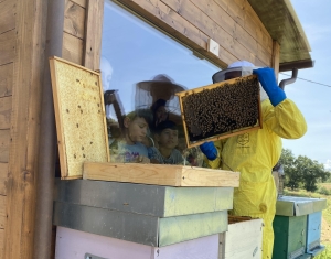 Mielerie Aperte, l’appuntamento con la natura in arrivo nel weekend