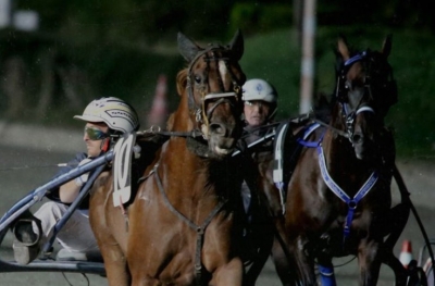 Al “San Paolo” la giornata di Tris con il Premio Selleria Scarpa Free Horse