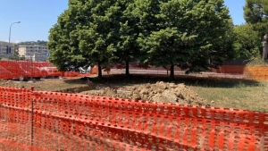 Verde pubblico, quasi mille nuovi alberi piantumati in tre anni