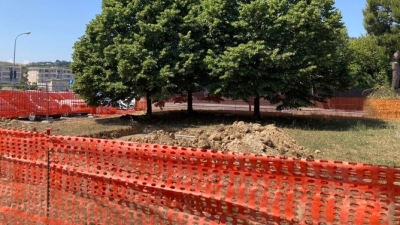 Verde pubblico, quasi mille nuovi alberi piantumati in tre anni