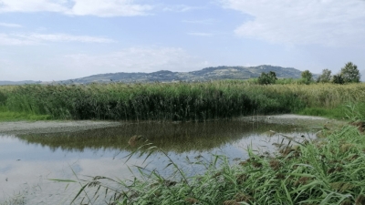 Dalla Regione 200 mila euro per l’approvvigionamento idrico della Riserva Sentina