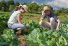 Italia prima in Europa per valore aggiunto in agricoltura. Castelli: “Un primato strategico per il futuro dell’Appennino centrale”