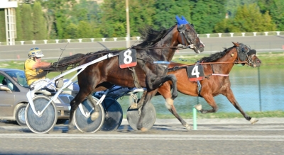 Terza giornata della stagione estiva all’ippodromo San Paolo