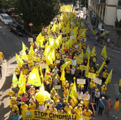 Coldiretti Marche, cinghiali: 