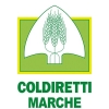 Coldiretti Marche lancia gli Oscar Green 2025: sfida tra 41 storie di giovani e passione agricola