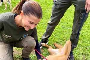 Cani e gatti aspettano una famiglia, a Fermo &quot;Adotta...mi&quot;