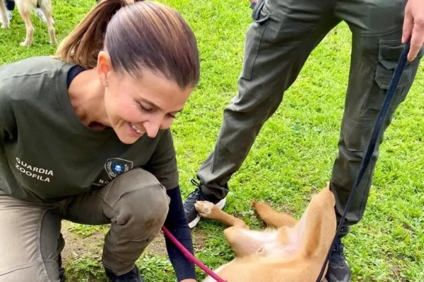 Cani e gatti aspettano una famiglia, a Fermo "Adotta...mi"