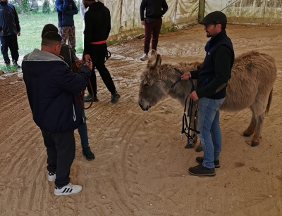 Ama Aquilone e Fondazione La Speranza insieme per formare nuovi coadiutori dell’asino negli interventi assistiti con animali