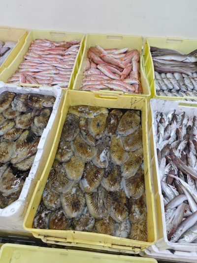 PESCE NON IDONEO AL CONSUMO: IMPORTANTE OPERAZIONE DI CONTRASTO  AL COMMERCIO ILLECITO CONDOTTA DAL SERVIZIO VETERINARIO DELL’AST