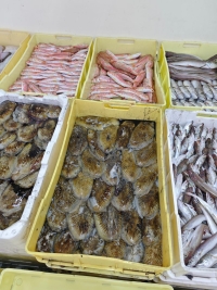 PESCE NON IDONEO AL CONSUMO: IMPORTANTE OPERAZIONE DI CONTRASTO  AL COMMERCIO ILLECITO CONDOTTA DAL SERVIZIO VETERINARIO DELL’AST