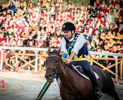 Ascoli Piceno - Quintana, Luca Innocenzi verrà premiato come miglior cavaliere d'Italia